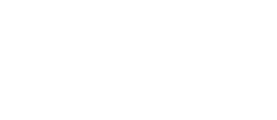 BOARDINI